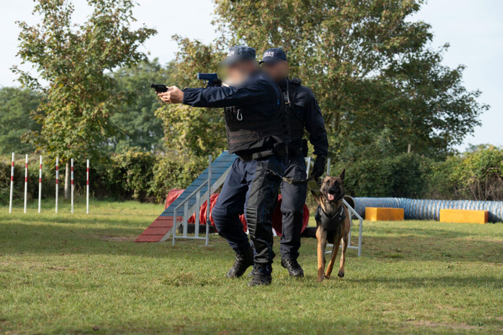 Cynotechnicien de la Police Municipale