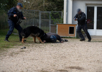 Cynotechnicien de la Police Municipale